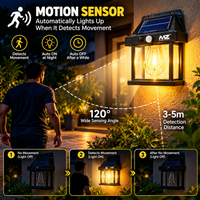LumaGlow Solar Motion Sensor Light for Outdoors